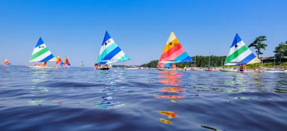 Sailboats in the distance with view of the water