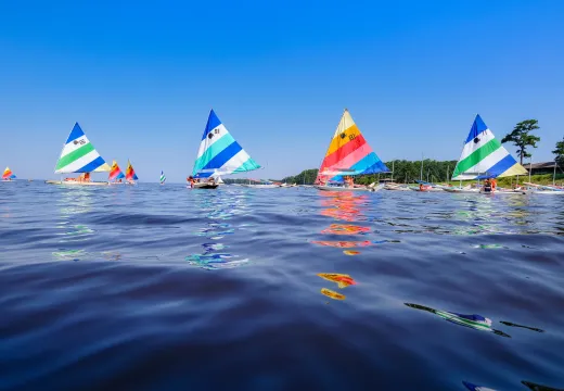 Sailboats in the distance with view of the water